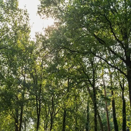 Forest-view Tiny House, Cleaning Included *